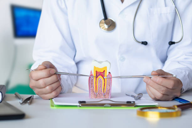Best Emergency Treatment for Oral Infections in Chapin, SC